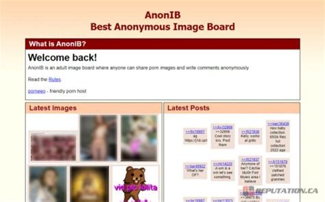 anon porn board|AnonIB